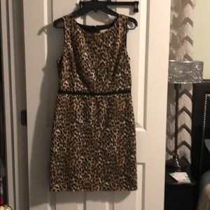 Cheetah print loft dress size 8